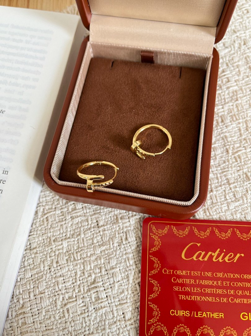A1243   Women's new fashionable titanium steel earrings and jewelry
